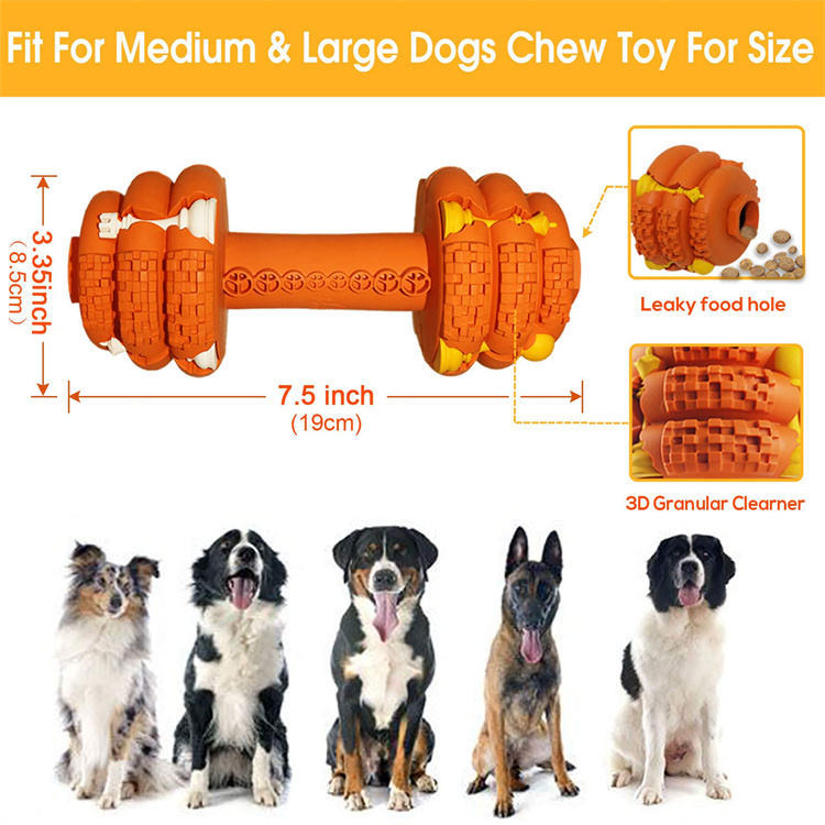 The Ultimate Solution for Your Pet's Dental Health