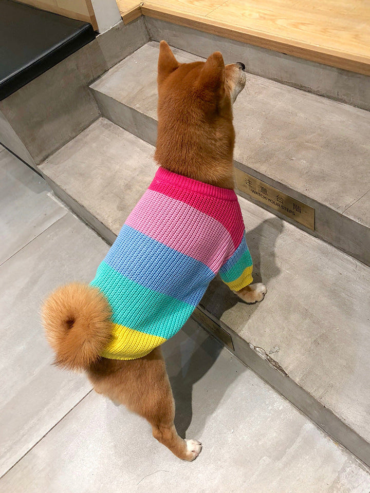 The Perfect Blend of Style and Comfort: The Rainbow Dog Sweater