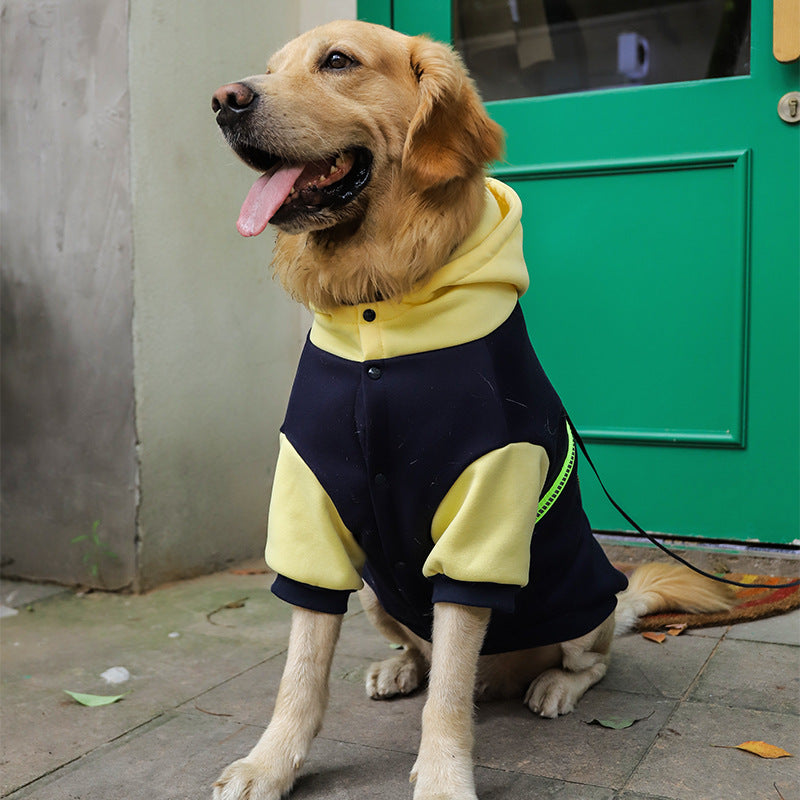 Comfort and Style for Your Large Dog