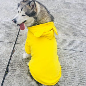 Why Your Pup Deserves the Best with Our Dog Sweater Four Seasons