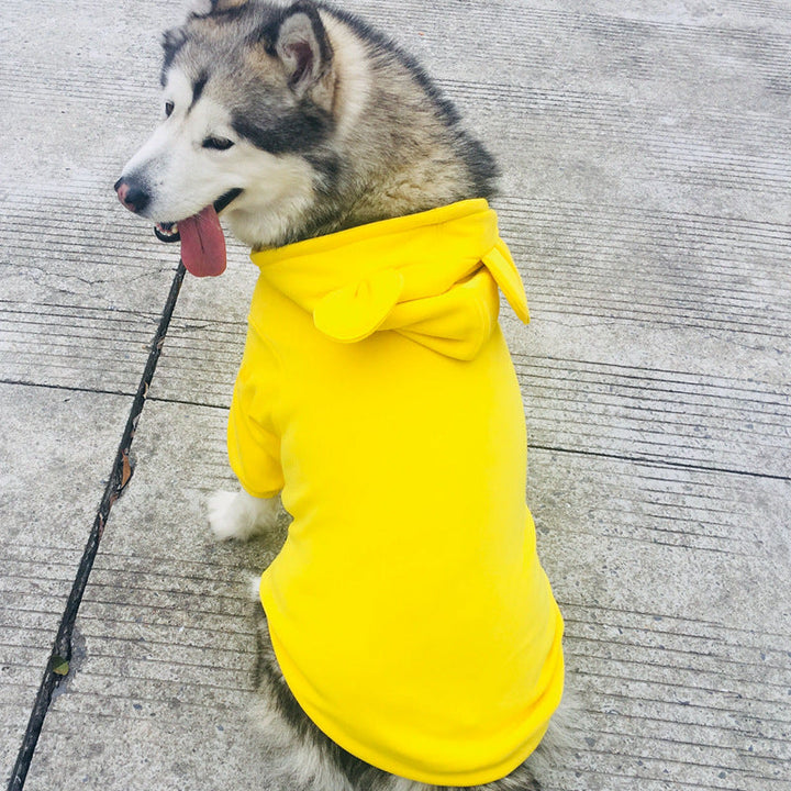 Why Your Pup Deserves the Best with Our Dog Sweater Four Seasons