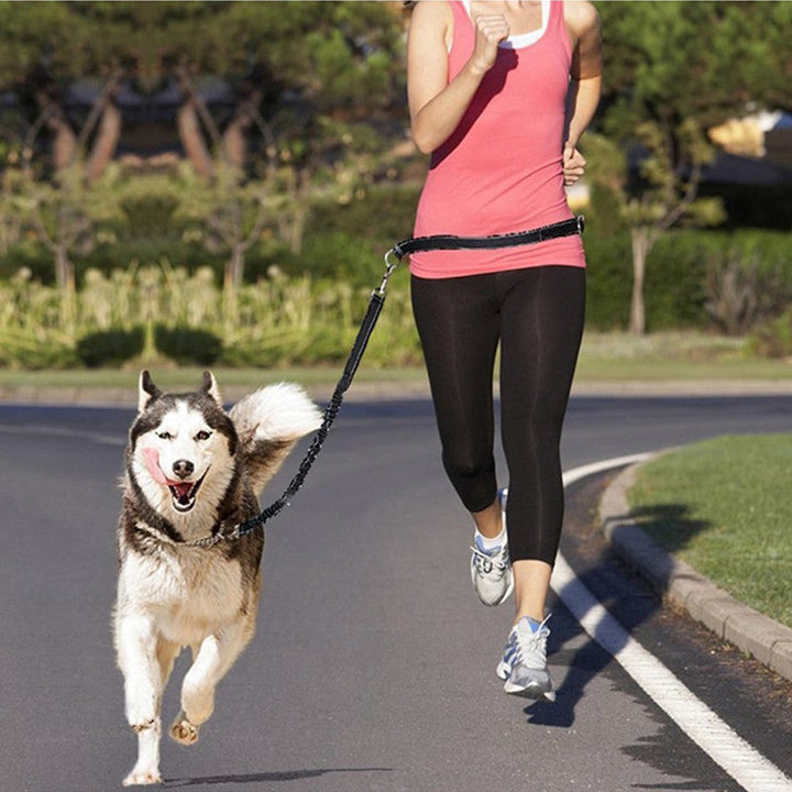 Harness Collar Jogging Adjustable Pet Leash: The Ultimate Companion for Your Pet