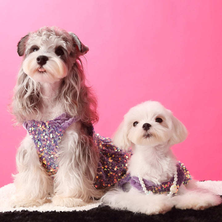 Elevate Your Pet's Style with Our Autumn Velvet Sequins Dress