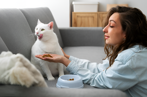 The Benefits of a Healthy Feeding Routine