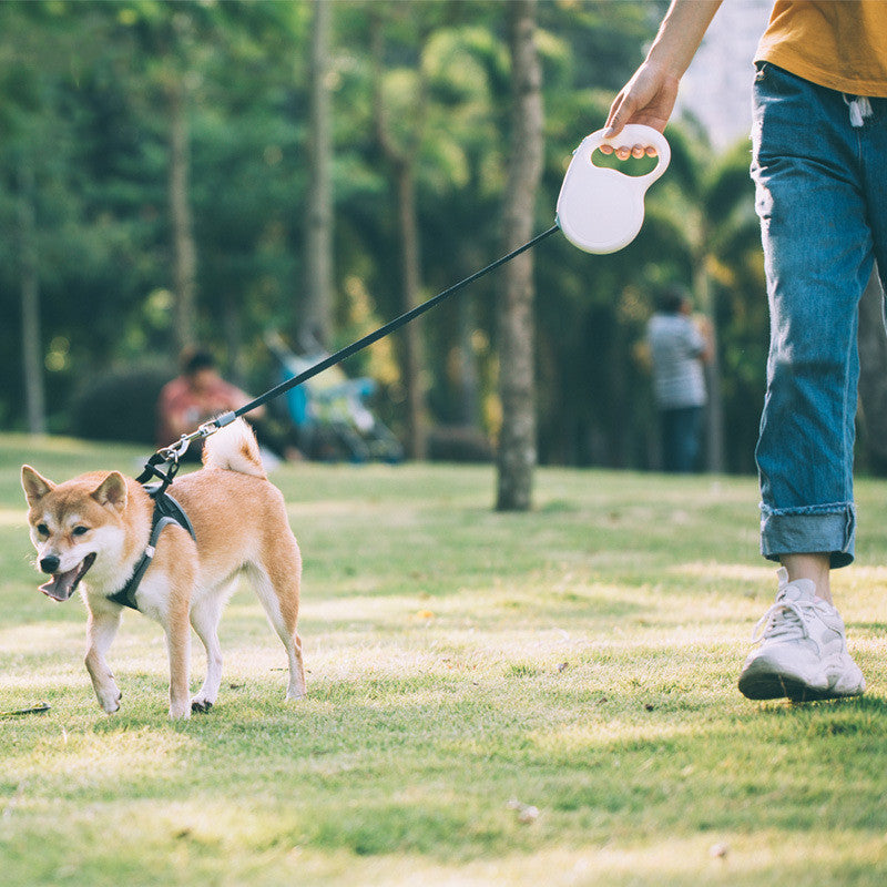 Enhance Your Dog Walking Experience with Our Pet Retractable Leash