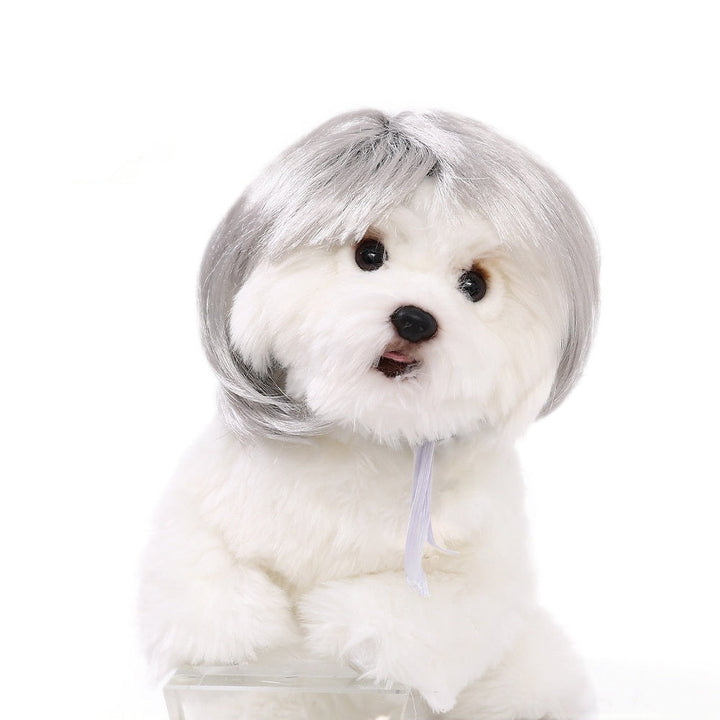 Halloween Pet Wig For Curly Or Straight Hair