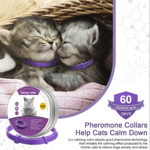 Enhance Your Pet's Comfort with Our Calming Collar