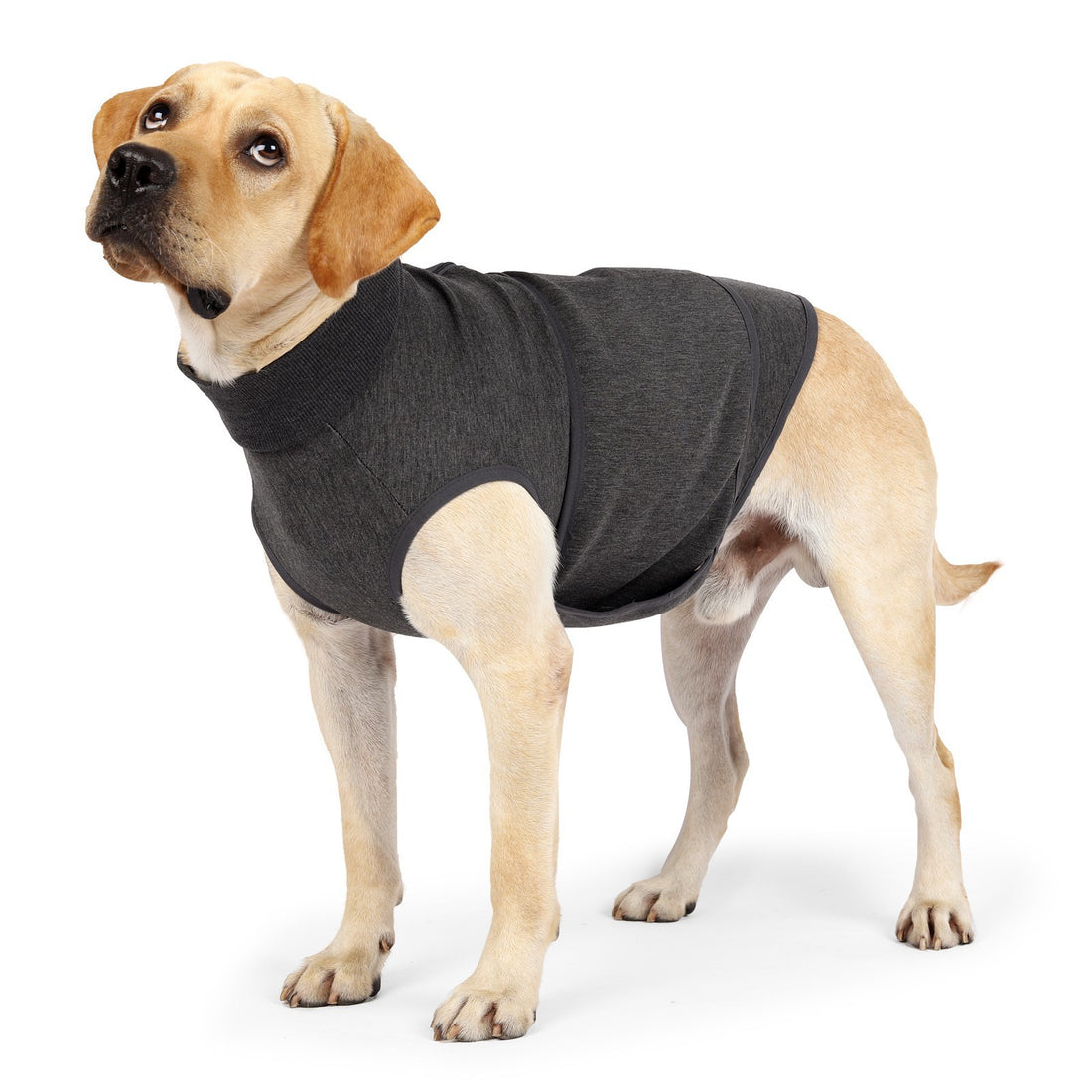 Pet Double-Layer Jacket Emotional Comfort Cotton Polyester Clothes