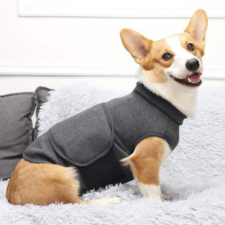 Pet Double-Layer Jacket Emotional Comfort Cotton Polyester Clothes