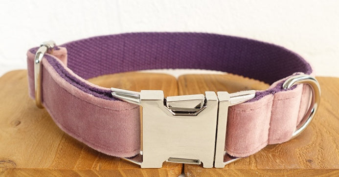 Pet Leash and Collar Set Adjustable and Durable for Dogs