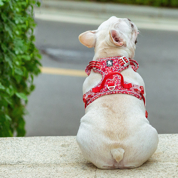 Pet Leash Set with Vest-Style Chest Harness