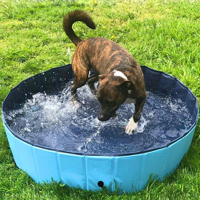 Foldable Pet Bathing Pool Collapsible Tub for Dogs, Cats, and Kids