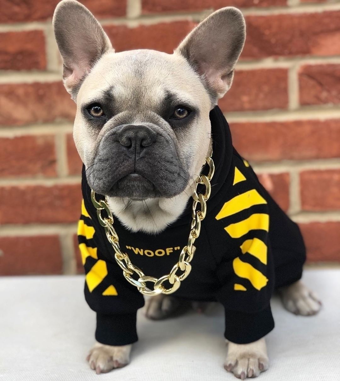 Pet Fashion Sweater Three-Stripe Autumn Winter Sports Outfit for Dogs