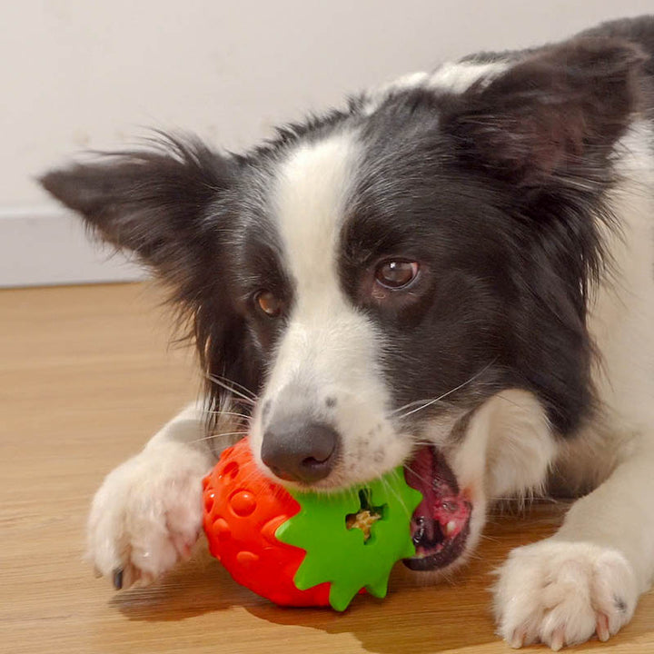 Pet Teeth Cleaning Bite Resistant Toy Ball Durable Chew Accessory