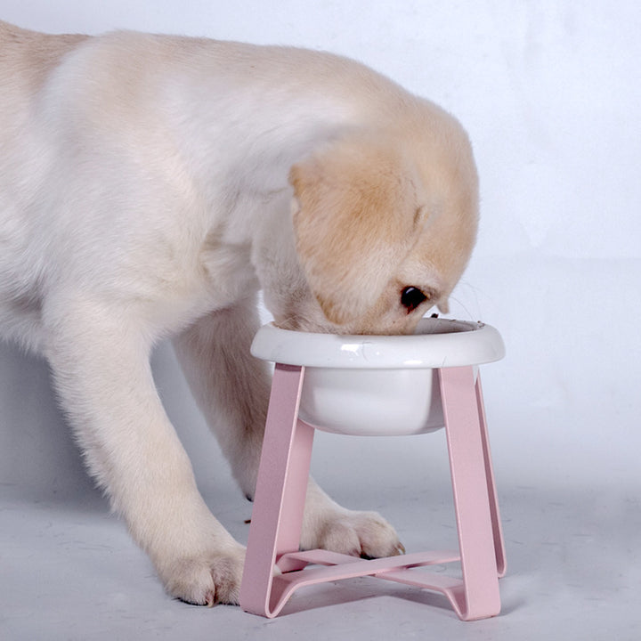 2-in-1 Creative Pet Bowl Antislip Food and Water Feeder With Stand