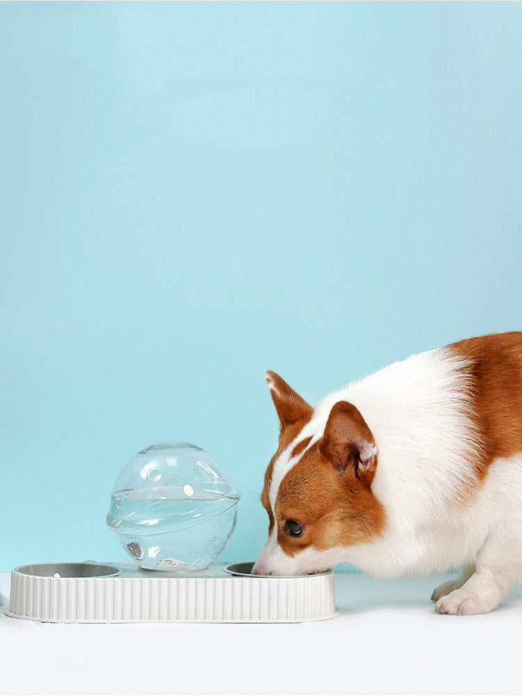 Plastic Automatic Pet Water and Food Feeder Bowl for Cats and Dogs