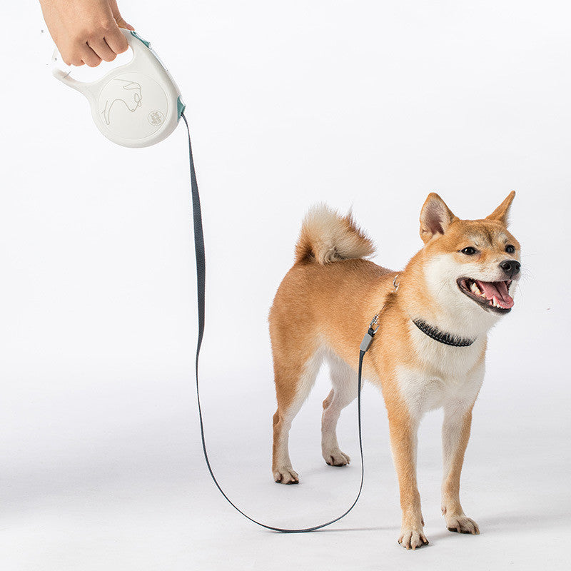 Pet Retractable Leash For Small, Medium And Large Dogs