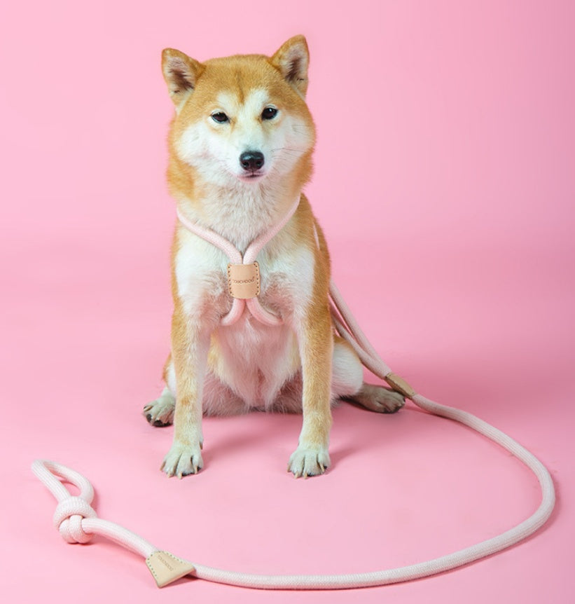 Dual-Purpose Pet Round Rope Leash Integrated Design