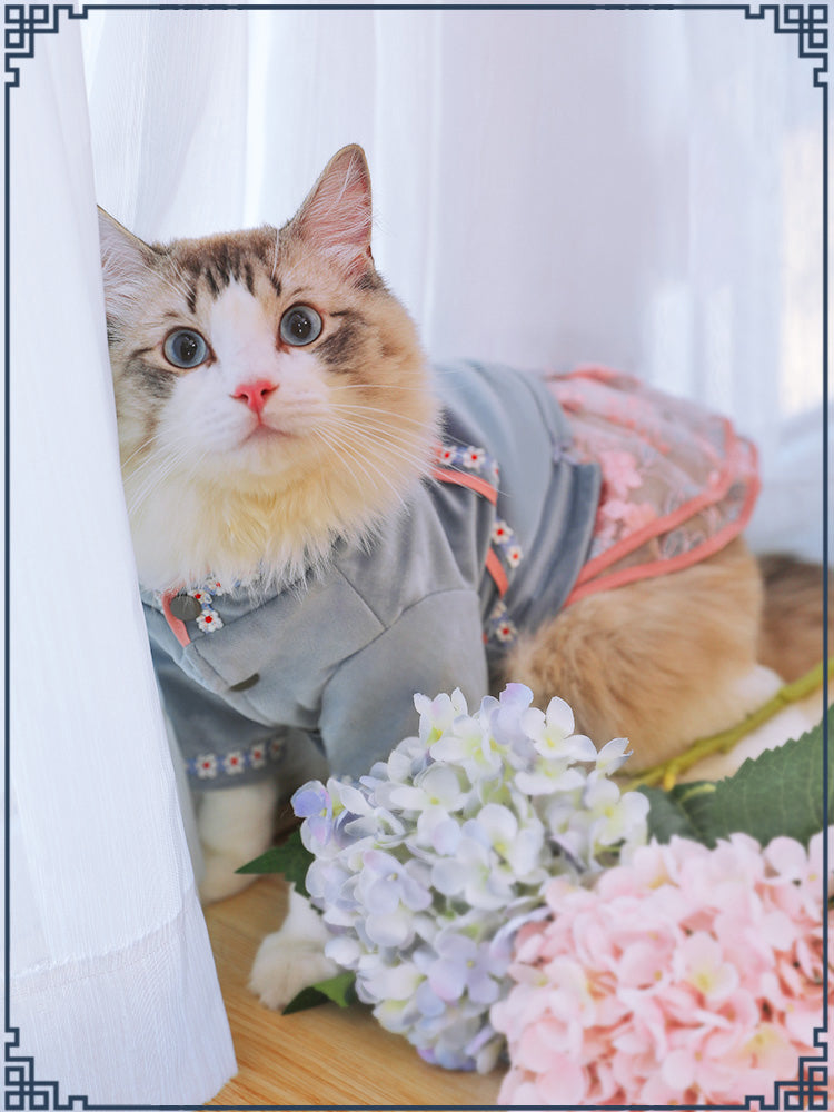 Pet Clothes for Cats Comfortable Stylish Apparel and Accessories