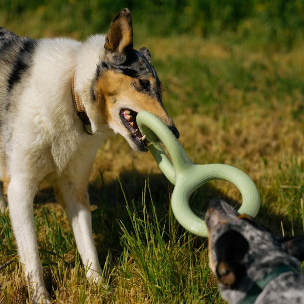 Rubber Pet Bite Pull Toy Durable Chew Training Accessory