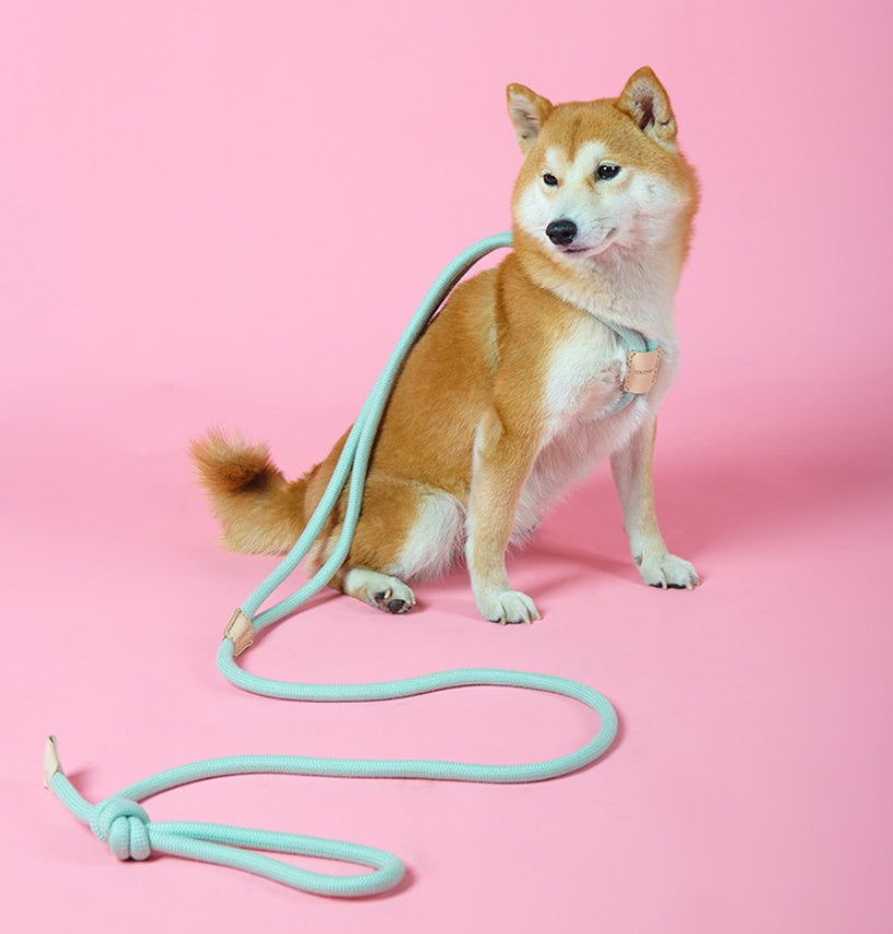 Dual-Purpose Pet Round Rope Leash Integrated Design
