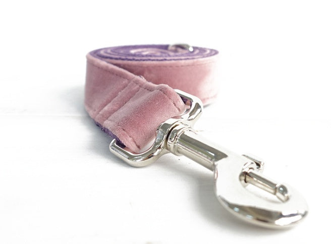 Pet Leash and Collar Set Adjustable and Durable for Dogs