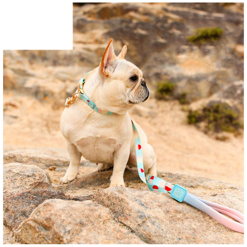 Fashion Y-Shaped Pet Chest Strap Leash for Dogs