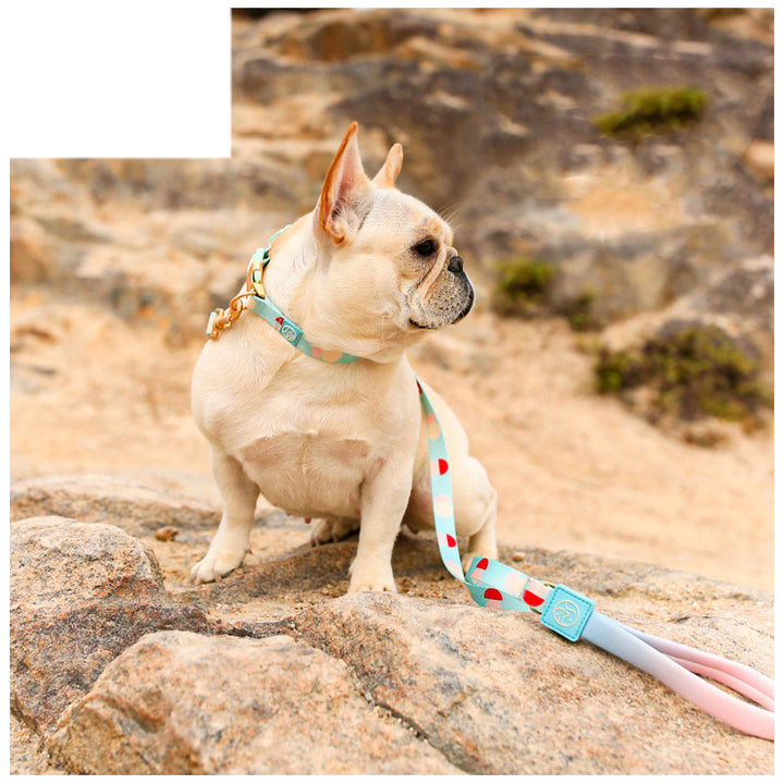 Fashion Y-Shaped Pet Chest Strap Leash for Dogs