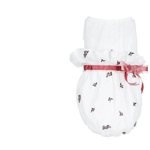 Pet Clothes for Cats Comfortable Stylish Apparel and Accessories