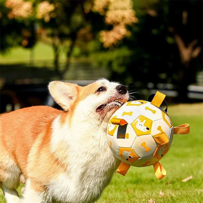 Interactive Pet Football Toy Outdoor Training Bite Resistant Chew Ball