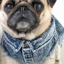 Pet Denim Jacket Stylish Washed Cotton Clothes for Dogs