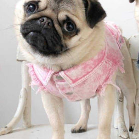 Pet Denim Jacket Stylish Washed Cotton Clothes for Dogs