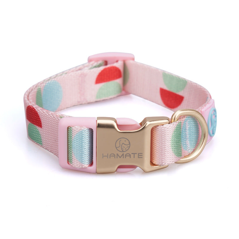 Fashion Y-Shaped Pet Chest Strap Leash for Dogs