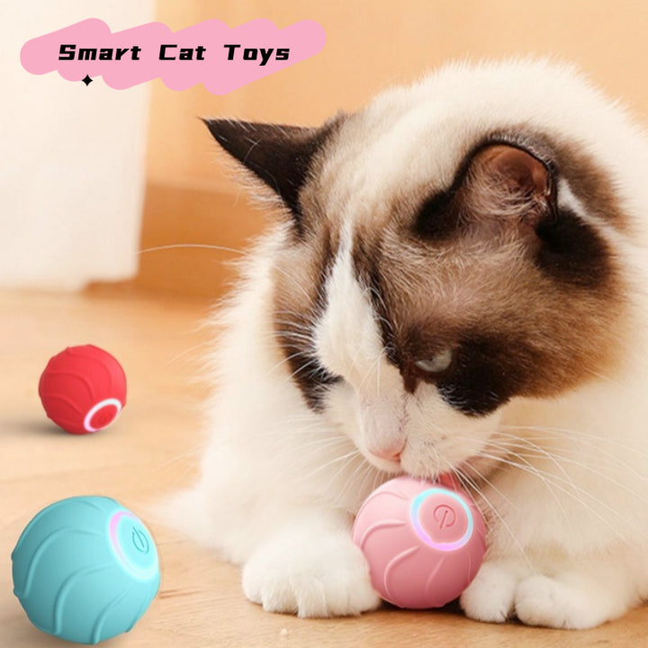 Smart Pet Rolling Ball Interactive Automatic USB Bouncing Toy
