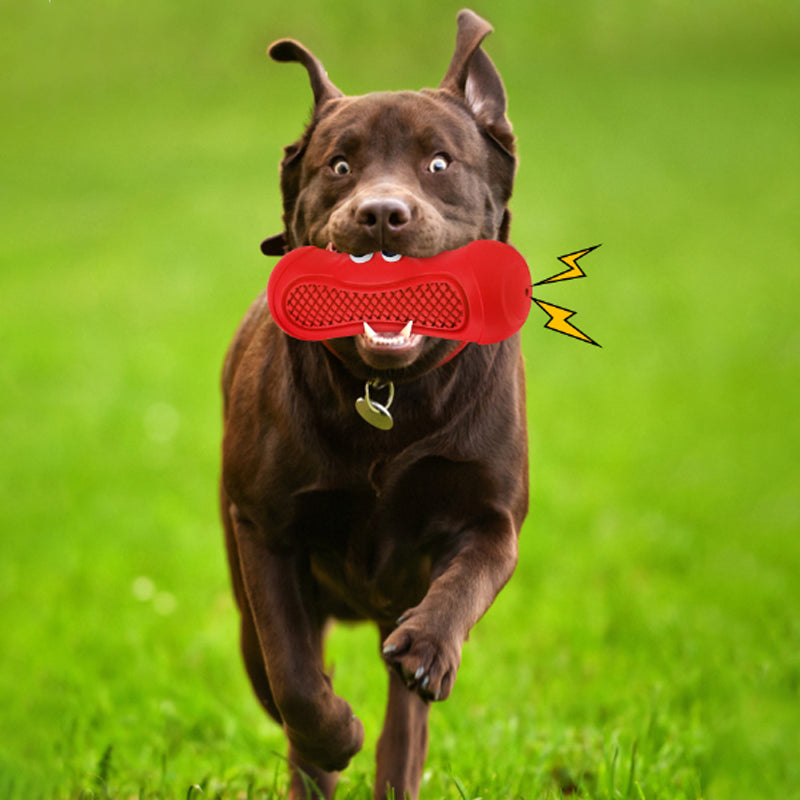 Vocal Rugby Pet Toy Natural Rubber Bite Resistant Chew Accessory