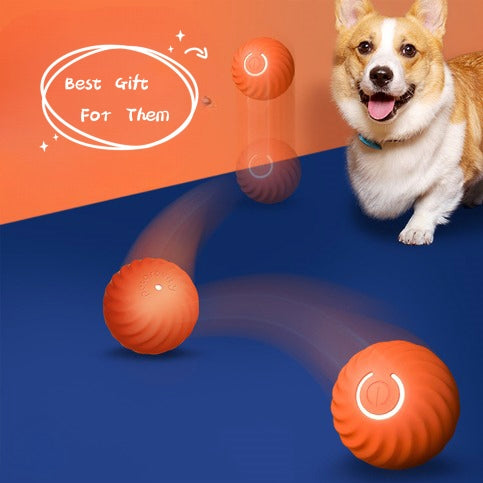 Rubber Pet Ball Toy Bite Resistant Chew Training Accessory