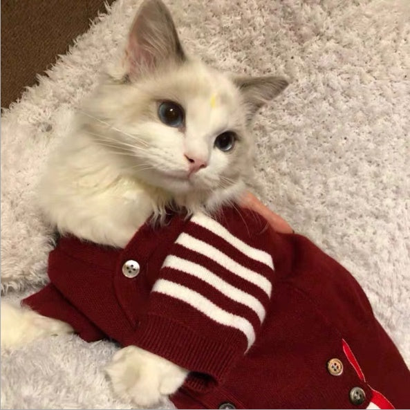 Pet Clothes for Cats Stylish Comfortable Apparel and Accessories