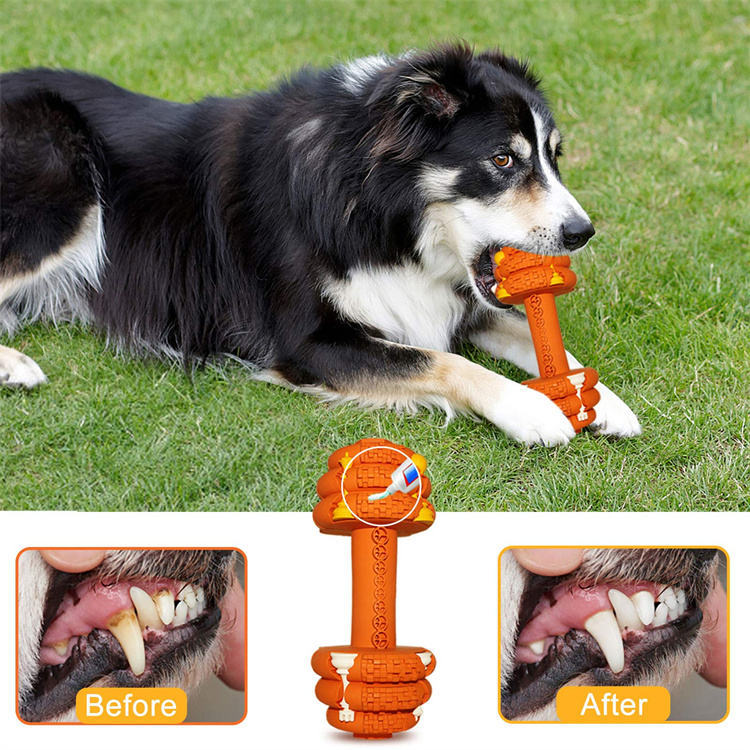 Durable Pet Chew Toy Food Grade Tooth Cleaning Interactive Accessory