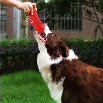 Vocal Rugby Pet Toy Natural Rubber Bite Resistant Chew Accessory