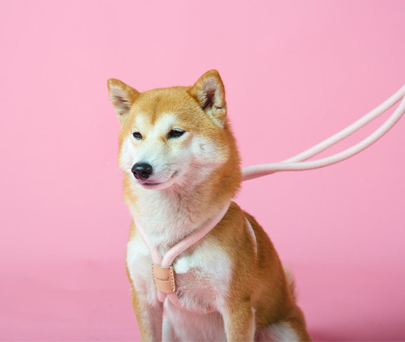 Dual-Purpose Pet Round Rope Leash Integrated Design