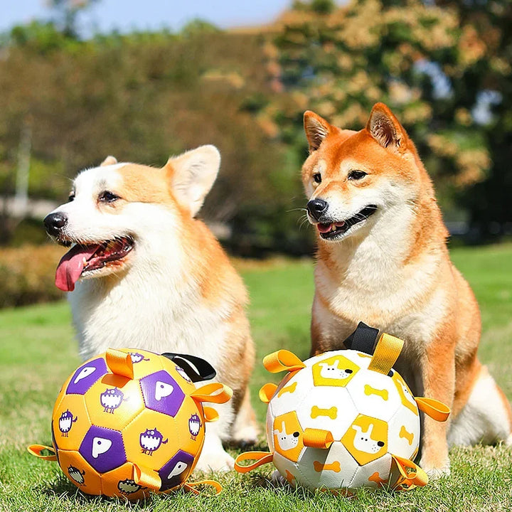 Interactive Pet Football Toy Outdoor Training Bite Resistant Chew Ball