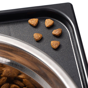 Elevated Pet Feeding Bowl Neck Protection Anti-Tumble for Medium and Large Dogs