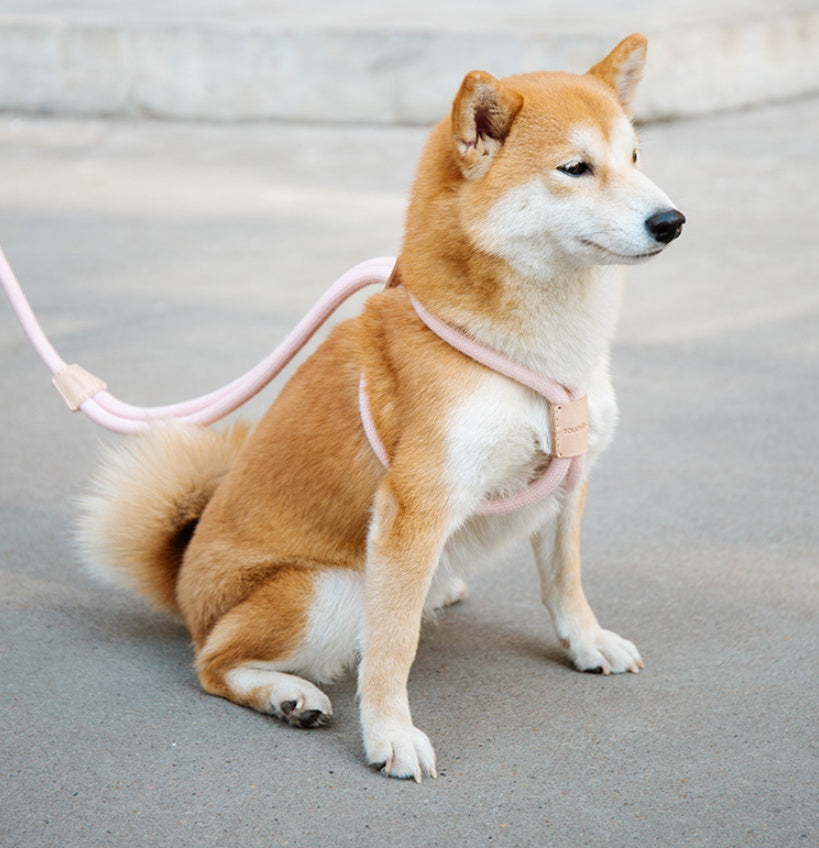 Dual-Purpose Pet Round Rope Leash Integrated Design