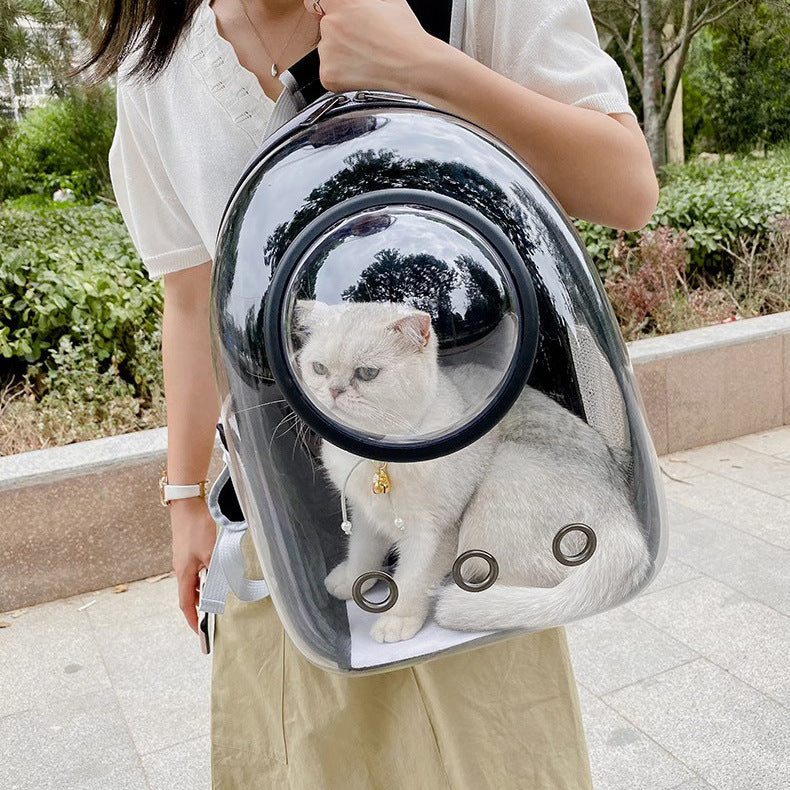 Transparent Pet Backpack Large Capacity Breathable Skylight Carrier for Cats