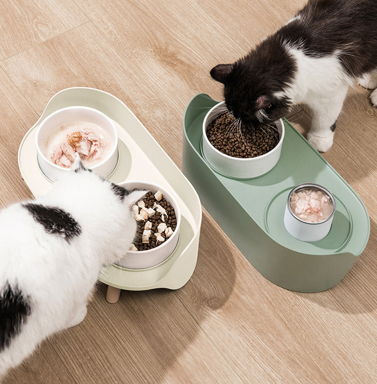 Tilted Pet Double Bowl Adjustable Spill-Proof Food and Water Feeder