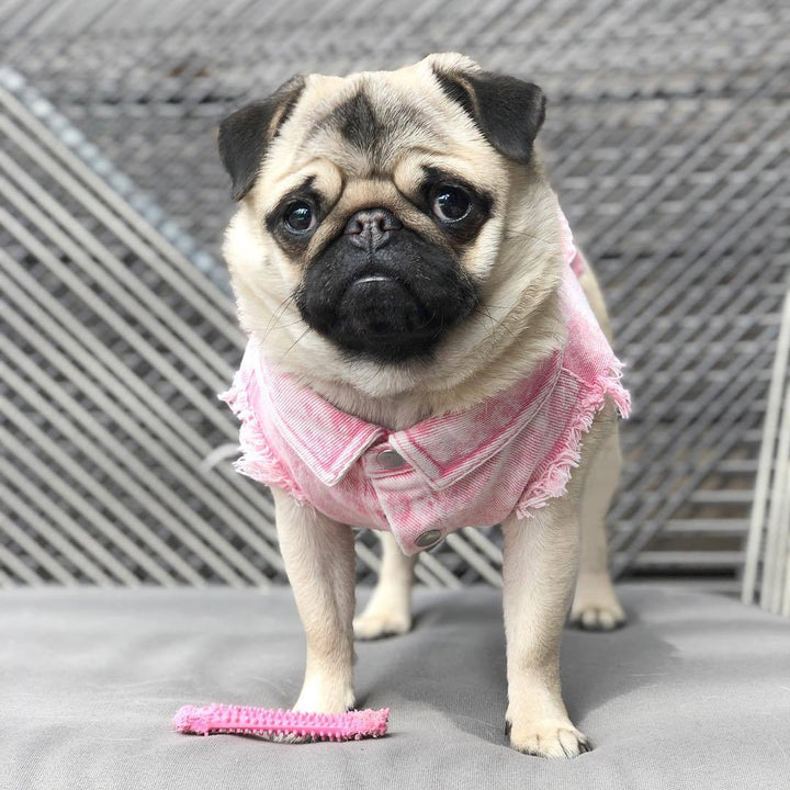 Pet Denim Jacket Stylish Washed Cotton Clothes for Dogs