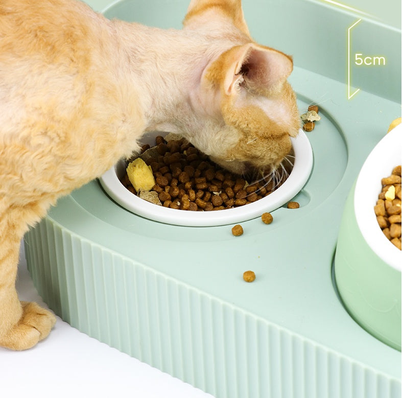 Ceramic Pet Food Bowl Ergonomic Design Cervical Spine Protection