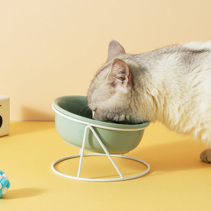 Ceramic Pet Double Bowl Food and Water Feeding Accessory