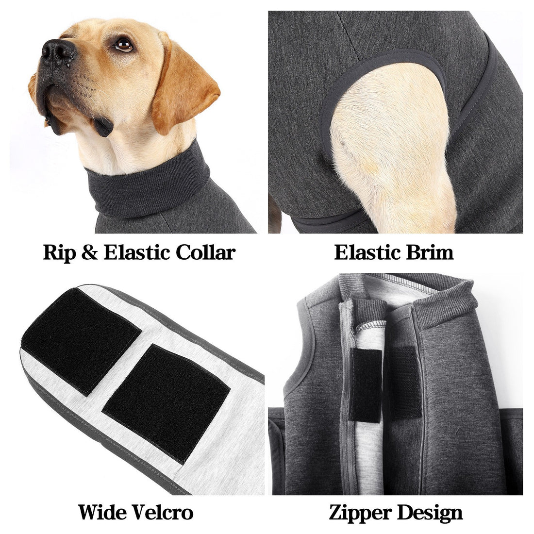 Pet Double-Layer Jacket Emotional Comfort Cotton Polyester Clothes