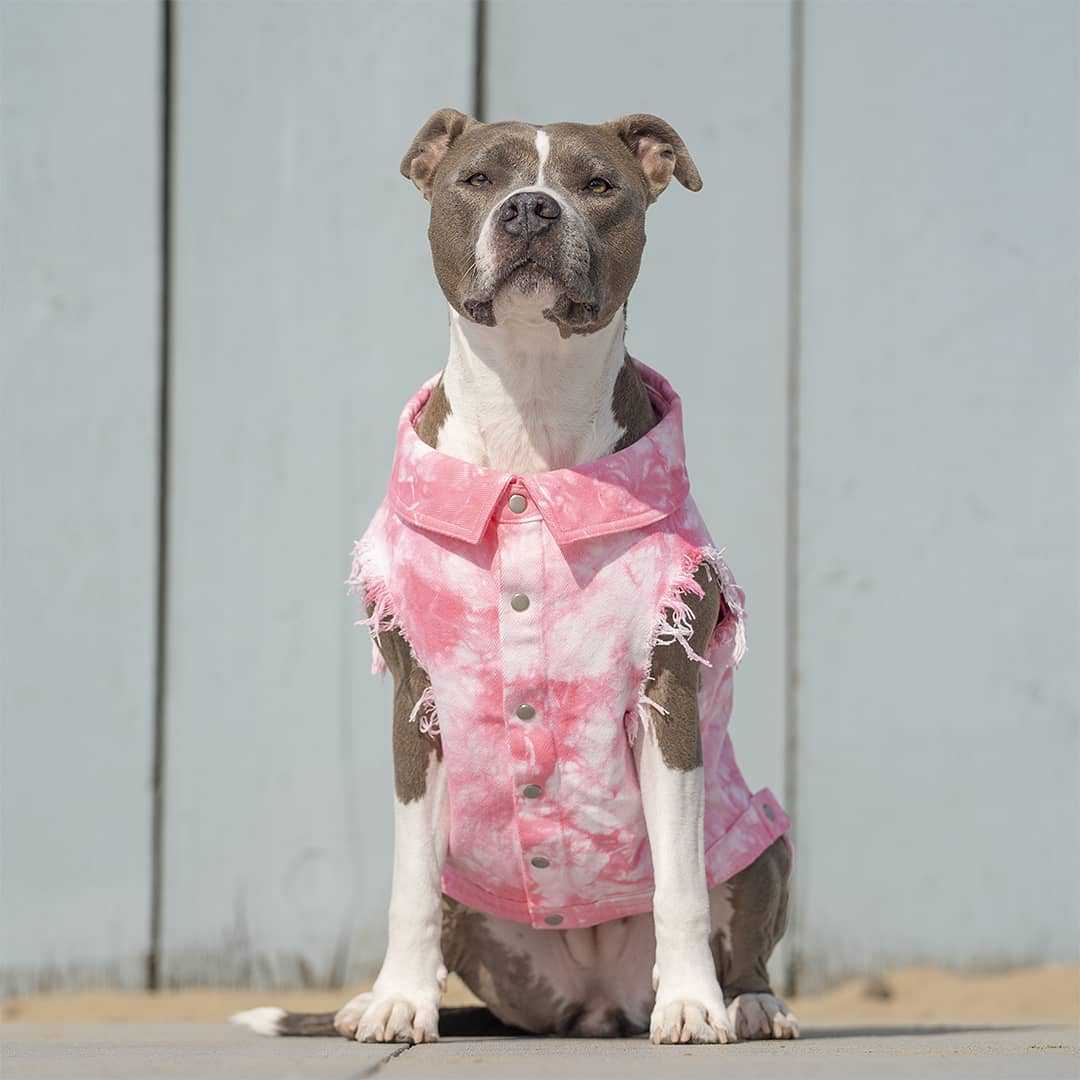 Pet Denim Jacket Stylish Washed Cotton Clothes for Dogs